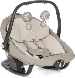 Joie Serina 2in1 Swing/Rocker - Speckled -Joy Shop 802734e