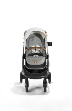 Joie Finiti Buggie Signature Oyster -Joy Shop buggies joie oyster joie finiti buggie signature oyster 122289 54040