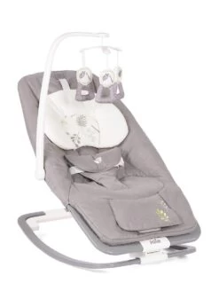 Joie Dreamer Bouncer Fern