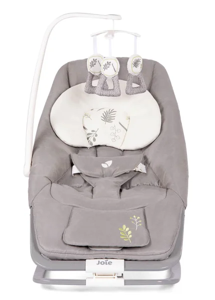 Joie Dreamer Bouncer Fern 5 Joie Dreamer Bouncer Fern - Image 3